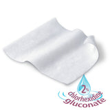 Sage® 2% Chlorhexidine Gluconate* Cloth